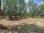 Plot For Sale In Webster, Florida