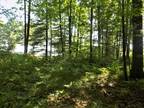 Plot For Sale In Oscoda, Michigan