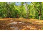 Plot For Sale In Webster, Florida