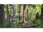 87014 NE 122ND ST, SKYKOMISH, WA 98288 Vacant Land For Sale MLS# 2245160