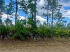 Plot For Sale In Punta Gorda, Florida