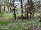 Plot For Sale In Longview, Washington