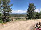 Home For Sale In Pagosa Springs, Colorado