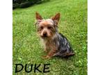 Duke