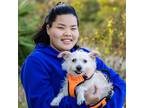 Experienced & Affordable Pet Sitter in Gainesville, FL - Trustworthy Care at