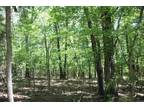 Plot For Sale In Flippin, Arkansas