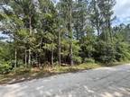 Plot For Sale In Hampton, South Carolina