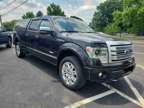 2013 Ford F-150 Platinum