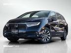 2024 Honda Odyssey Blue, new