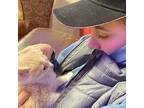 Caring Pet Sitter in Moncton, NB $15.35/Hour