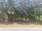 Plot For Sale In Hernando, Florida