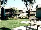 Coral Court - 1491 Detroit Ave - Concord, CA Apartments for Rent