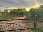 7333 COUNTY ROAD 463, ANSON, TX 79501 Vacant Land For Sale MLS# 20601409