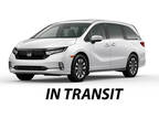 2024 Honda Odyssey Silver|White