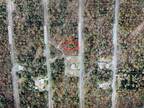 Plot For Sale In Dunnellon, Florida