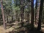 401 FALCONS REST PL, WOODLAND PARK, CO 80863 Vacant Land For Sale MLS# 4655425