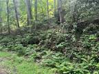 t BD LEE MOUNTAIN ROAD, FERGUSON, NC 28624 Vacant Land For Sale MLS# 1141121