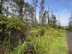 Plot For Sale In Kurtistown, Hawaii