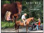 Meet Ruby Red Sorrel Missouri Foxtrotter Mare - Available on [url removed]