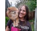 Experienced Pet Sitter in Ottawa, Ontario - Trustworthy & Affordable at