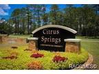 Plot For Sale In Citrus Springs, Florida