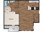 Elements of Madison Apartments - A1B - Renovated