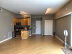 57870621 1601 W Altgeld St #4A