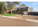 565 W 99TH AVE, NORTHGLENN, CO 80260 Single Family Residence For Sale MLS#