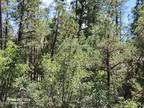 Show Low, Beautiful 4.94 acre lot with abundant junipers and