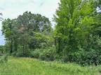 Plot For Sale In Milford, Michigan