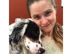 Experienced and Reliable Pet Sitter in Plymouth, NH $15.0/hr