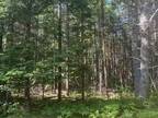 Lot Pid 60493061 Huey Lake Road, Mount Pleasant, NS, B0R 1G0 - vacant land for