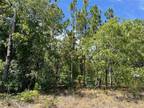 Plot For Sale In Inverness, Florida