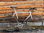 Serotta Cappucino Town Bike (steel), 56cm. One of a kind Serotta custom paint.