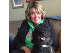 Experienced and Trustworthy Pet Sitter in Poinciana, FL and surrounding area.