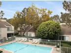 Torrey Pines Village Apartments - 8939 Lombard Pl - San Diego