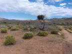 Lot 41 W 5th St, Chloride, AZ 86431 - MLS 013730