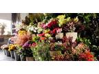 Business For Sale: Highly Profitbale Florist Acquisition Opportunity