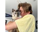 Experienced Pet Sitter in Monterey, CA Dedicated Care at $16.5/Hour