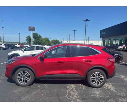 2021 Ford Escape SEL is a Red 2021 Ford Escape SEL SUV in Elyria OH