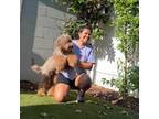 Trustworthy House Sitter in San Diego, CA Experienced & Reliable - Book Now!