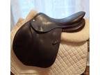 17" CWD Saddle 2014 2L SE03