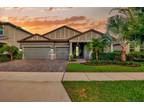 16563 Courtyard Loop, Land O Lakes, FL 34638