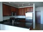 S State St Unit,chicago, Condo For Rent