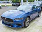 2024NewFordNewMustangNewFastback