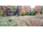 845 SARATOGA RD, GANSEVOORT, NY 12831 Vacant Land For Sale MLS# 202418033
