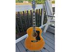 Guild F50 1979 Maple Jumbo Acoustic guitar w/pickup. Very Good Condition