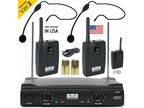 Professional Wireless Microphone System Dual Headset 2 x Mic Cordless Receiver