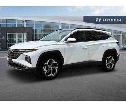 2024 Hyundai Tucson Limited is a White 2024 Hyundai Tucson Limited SUV in Holyoke MA