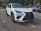 2021 Lexus NX 300 F SPORT